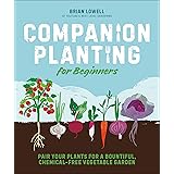 Companion Planting for Beginners: Pair Your Plants for a Bountiful, Chemical-Free Vegetable Garden