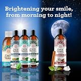 GuruNanda Starter Pulling Oil Mouthwash Coconut Mint 237 ml with Brush view 8
