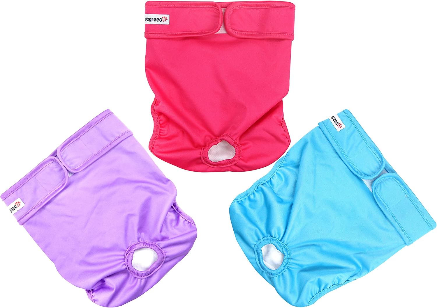 Best How To Remove Dog Urine Stain From Carpet