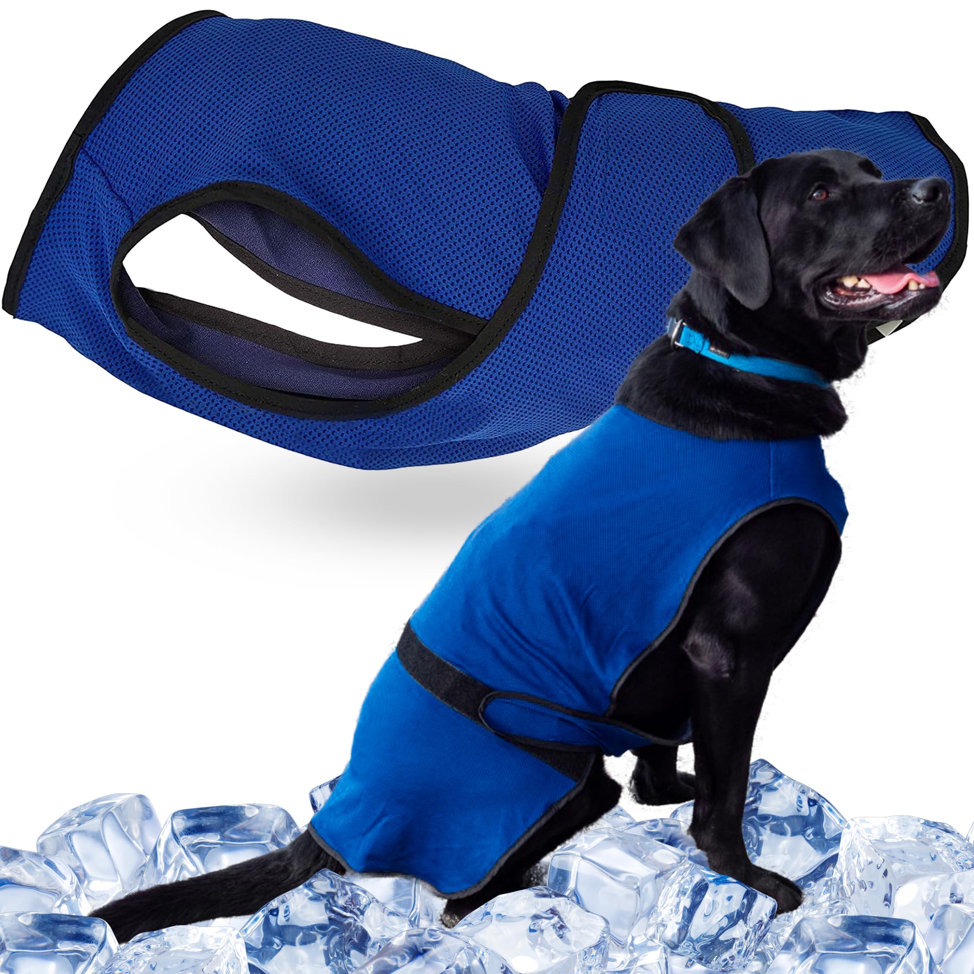 Lautus Pets XL Dog Cooling Vest - Easy On/Off Cooling Dog Coat with Double Velcro & Zip Neck, Lightweight & Portable Jacket for Dogs, Perfect for Owners, Walkers, Sitters & Pet Carers