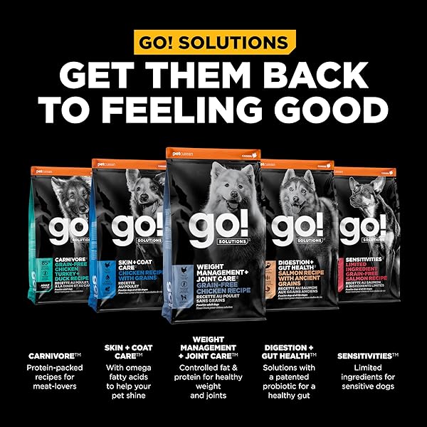 GO! SOLUTIONS WEIGHT MANAGEMENT + JOINT CARE DOG TREATS – CHICKEN RECIPE – SOFT AND CHEWY DOG TREATS, 6 OZ BAG