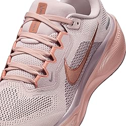 Nike Women's Pegasus 41 Sneaker, Silt Red/Metallic