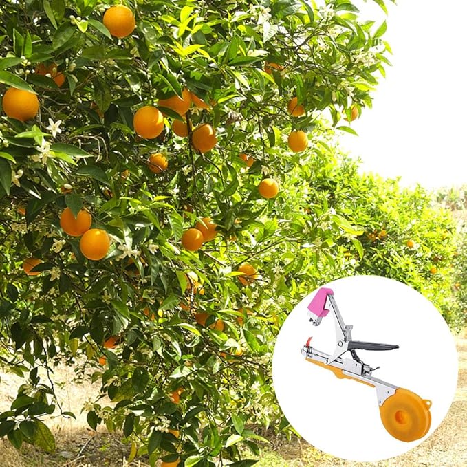 Ao Ma Shang Mao - Aparato para Hacer Verduras y Frutas con pepinos ...