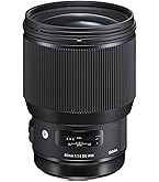 Amazon.com : Sigma 30mm F1.4 Art DC HSM Lens for Nikon