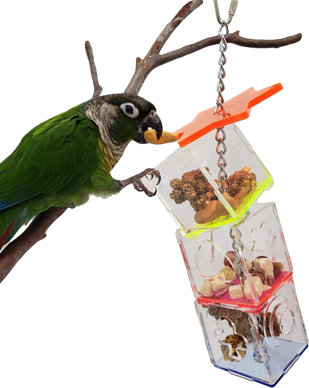 Parrot Bird Boredom Buster Forage Box Creative Hanging Treat Foraging Toy Conure Cockatiel Small