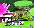 Turtle Splash Countdown At The Pond Cathryn Falwell 9780061429279 Amazon Com Books