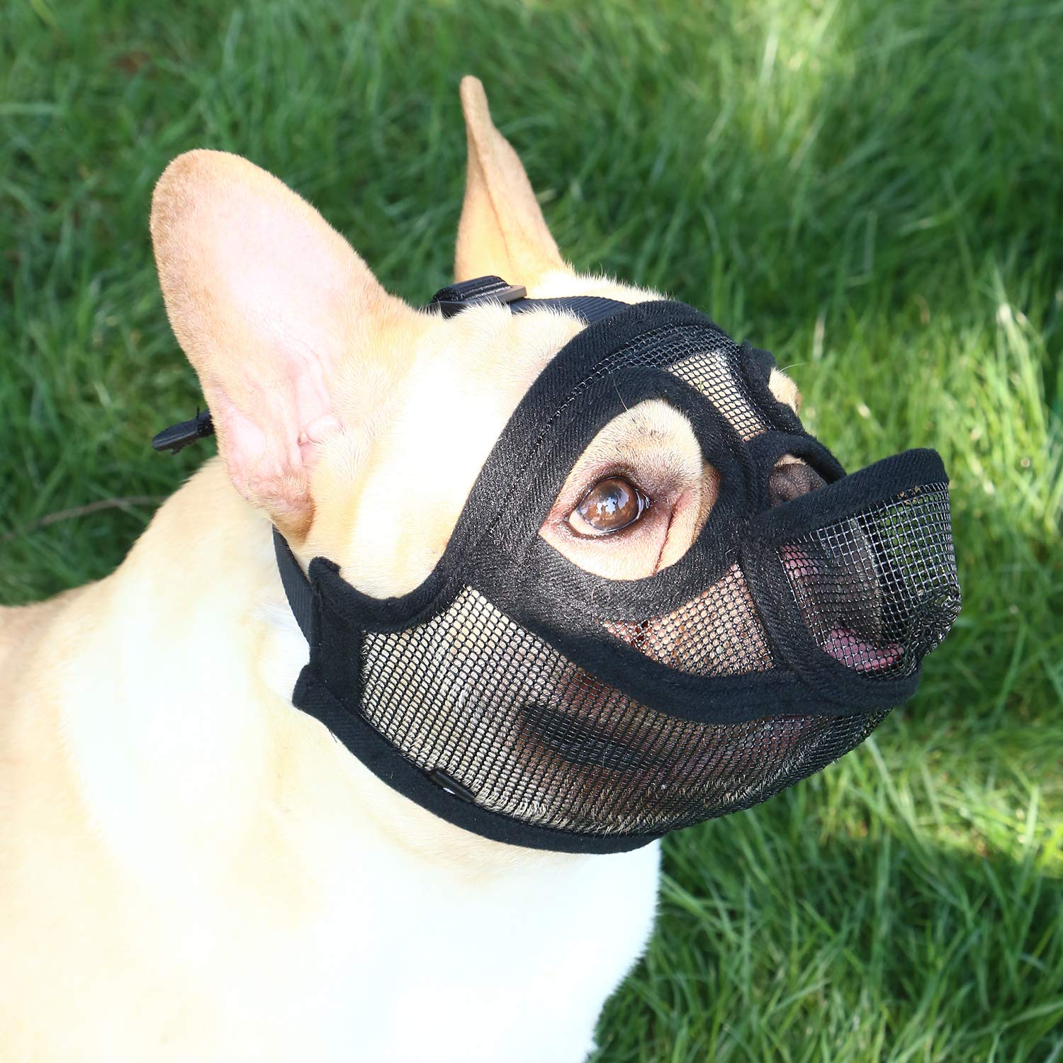Short Snout Dog Muzzle - Adjustable Breathable Mesh Bulldog Muzzle, Dog Mask for Barking Biting Chewing Training (Size L)