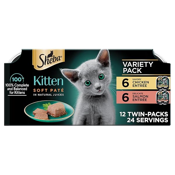 SHEBA PERFECT PORTIONS KITTEN WET CAT FOOD PATE CHICKEN ENTREE AND SALMON ENTREE, 2.6 OZ. TWIN-PACK TRAYS (12 COUNT, 24 SERVINGS)