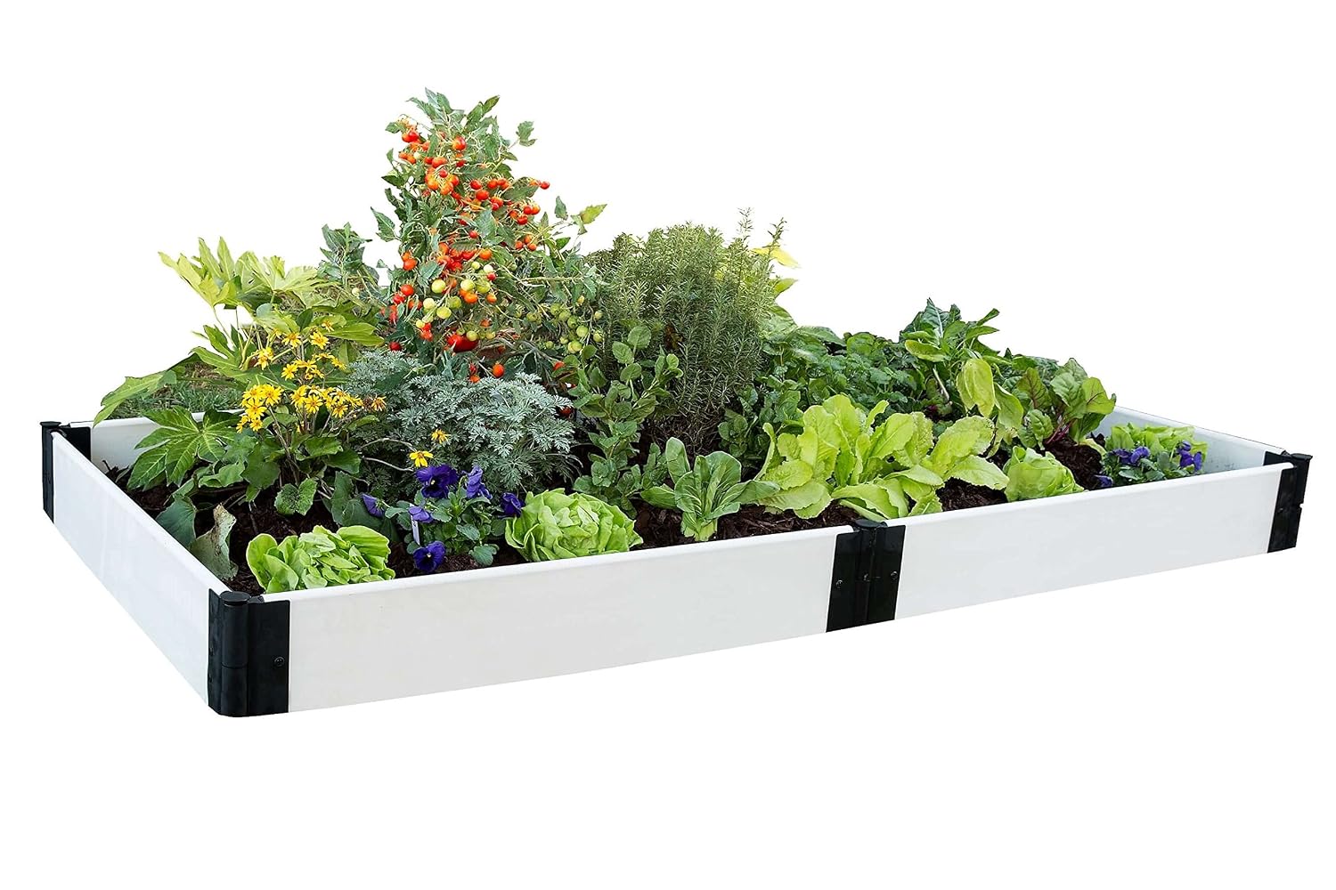 Contech Kit en relieve Garden, 4 by 20, 32 cm, blanco: Amazon.es ...