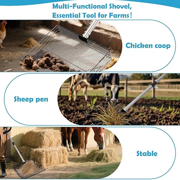 EVDKC 15″ LARGE CHICKEN COOP SCOOPER FOR SAND – HEAVY DUTY STAINLESS STEEL POOP SCOOPER WITH 38-64″ TELESCOPING HANDLE – ADJUSTABLE POULTRY MANURE RAKE & SIFTER SHOVEL FOR EASY CLEANING