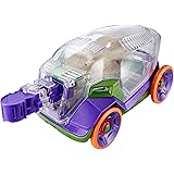 bug racer car