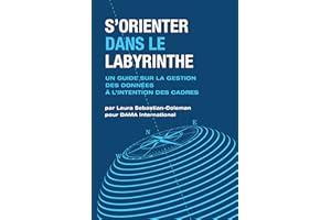 S’orienter Dans Le Labyrinthe: Un Guide Sur La Gestion Des Données À L’intention Des Cadres (French Edition)