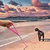 Wolfone Pink 12m Long Line Lead Waterproof Recall Training Dog Lead view 3