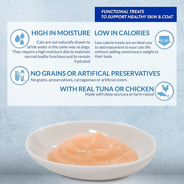 INABA CHURU LICKABLE PURÉE NATURAL CAT TREATS 0.5 OUNCES EACH, 24 TUBES (FOUR PER PACKAGE), TUNA RECIPE