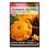 Sow Right Seeds - Yellow Scallop Squash Seed for