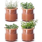 Phoenix Vine 4 Inch Self Watering Plants Pot, Design Terracotta Pot for Plants, Indoor Cylinder Terra Cotta Planter with Glass Vase, Set of 4, 51-A-E-4
