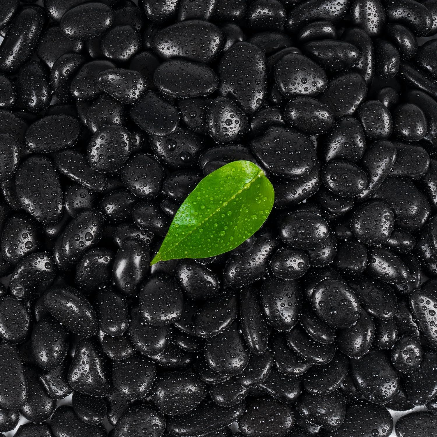 Hardscaping Materials - Calofulston 2.5LBS Black River Rocks for Planters, 1 Inch Black Pebbles for Plants, Small Decorative Stones for Indoor Vases, Pots, Landscaping, Highly Polished