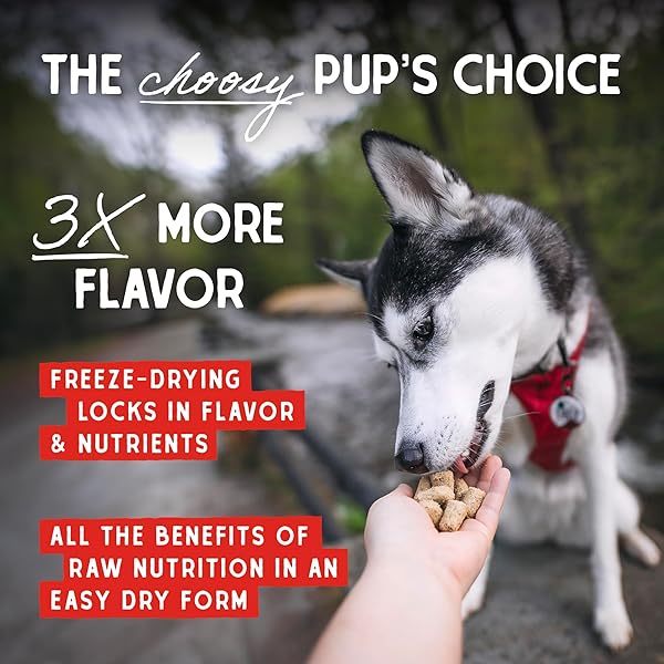 STELLA & CHEWY’S FREEZE DRIED RAW SUPER BEEF MEAL MIXER – DOG FOOD TOPPER FOR SMALL & LARGE BREEDS – GRAIN FREE, PROTEIN RICH RECIPE – 3.5 OZ BAG