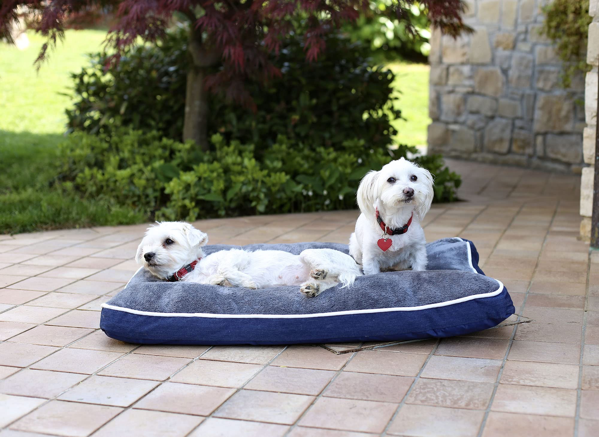 Italian Bed Linen Dogs and Cats 4 seasons pillow, dark grey, 66x49x12cm, Polyester