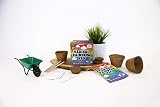 Gift Republic Grow Your Own Radical Rainbow Veg Kit Purple Tomato Carrot Chard view 2