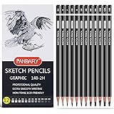 PANDAFLY Professional Drawing Sketching Pencil Set - 12 Pieces Art Drawing Graphite Pencils(14B - 2H), Ideal for Drawing Art,