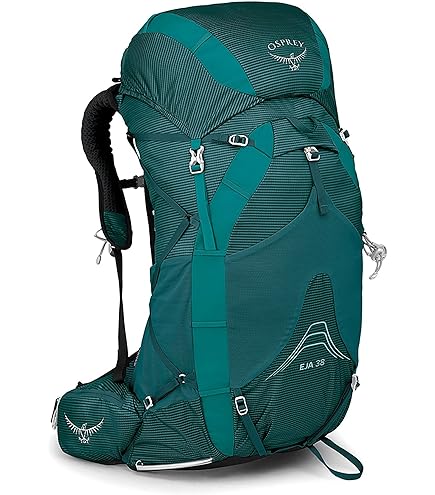 Amazon.com : Osprey Exos 48 Men's Backpacking Backpack, Tunnel Green, Large : Sports & Outdoors