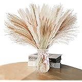 Natural Dried Pampas Grass Decor: 70 Pcs Small Fluffy White Pompas Stems & Beige Reed Grass & Dry Wheat Bundle & Bunny Tail G