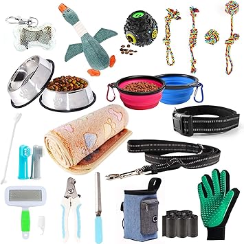 Dog accessories amazon india Clearance