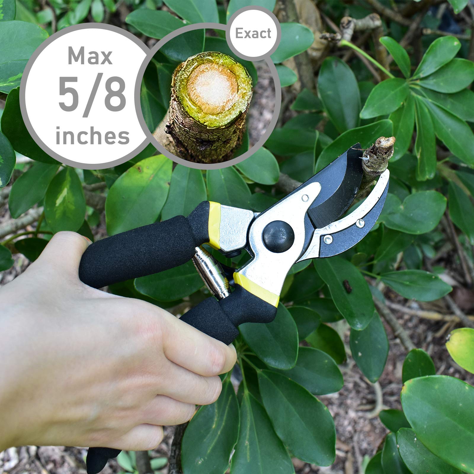 KORAM Bypass Pruning Shears Heavy Duty Hand Pruner with Garden Gloves - Ergonomic Handles Stainless, Steel Blades Garden Shears for Branch, Hedge, Shrub & Bush
