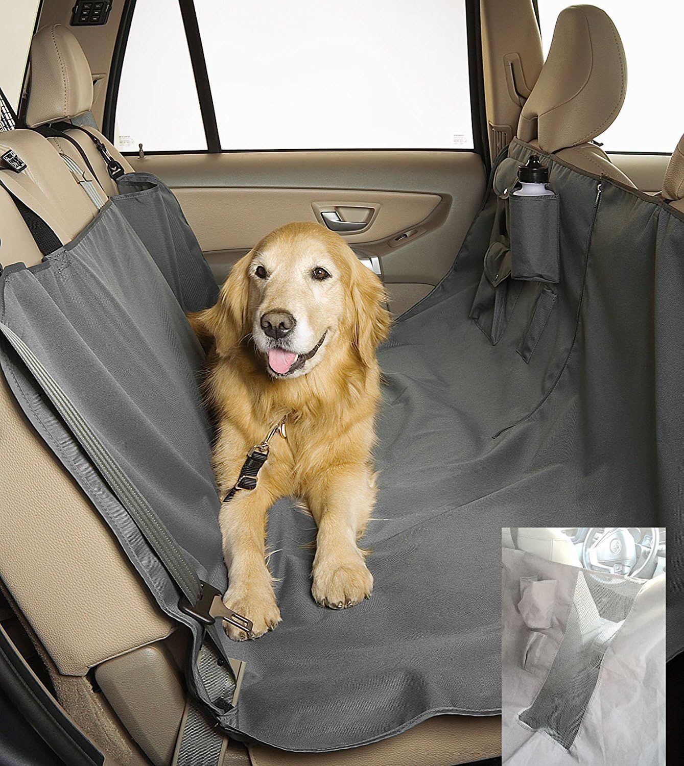 staffy cross boxer brindle