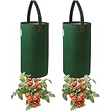 Pri Gardens Upside Down Tomato Planter, 2- Pack(Requires Plants,Soil and Fertilizer, not Included)