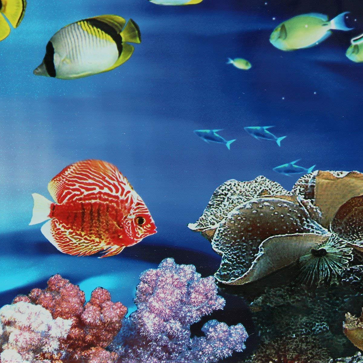 60cm Taonaisi Color Aquarium Smash 3d Effect Under The Sea