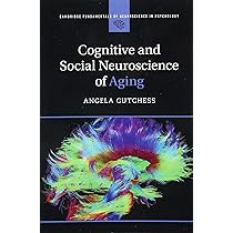 洋書 Developmental Social Neuroscience Developmental Social Cognitive Neuroscience - 1st Edition