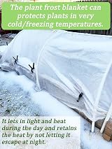 Abimars Garden Fleece Frost Protection 2m x 5m 30gsm Non-Woven Cover view 5