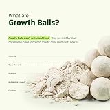 Velda Growth Balls Water Plant Fertiliser 50 Balls for Pond Plants & Lilies view 4