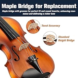 Mendini By Cecilio Violin 4/4 Full Size For