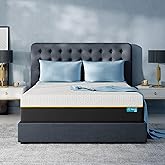 NAPSIE 14 Inch Queen Memory Foam Mattress, Medium Plush Queen Size Mattress with Cooling Tencel Cover, Bed in a Box for Cool Sleep and Back Pain Relief, CertiPUR-US Certified, Foam Made in USA
