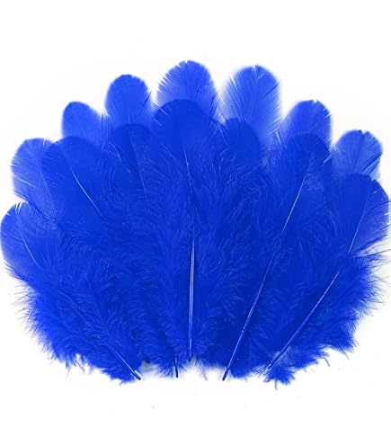 Amazon.com: Ballinger Blue Craft Goose Feathers - 120Pcs 6-8inch