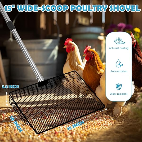 EVDKC 15″ LARGE CHICKEN COOP SCOOPER FOR SAND – HEAVY DUTY STAINLESS STEEL POOP SCOOPER WITH 38-64″ TELESCOPING HANDLE – ADJUSTABLE POULTRY MANURE RAKE & SIFTER SHOVEL FOR EASY CLEANING