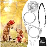 double dog run system