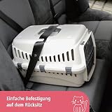 Kerbl Pet Transport Box Expedion with Plastic Door 45 x 30 x 30 cm Cream Taupe view 4