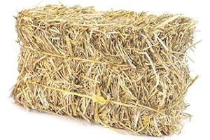 Firewood Central Mini Straw Bale – 100% Natural Wheat Straw (12” x 4.5” x 6.5”) 2lb – Ideal for Gardening, Pet Bedding, Grass Seeding & Rustic Decor – by Morning View Acres