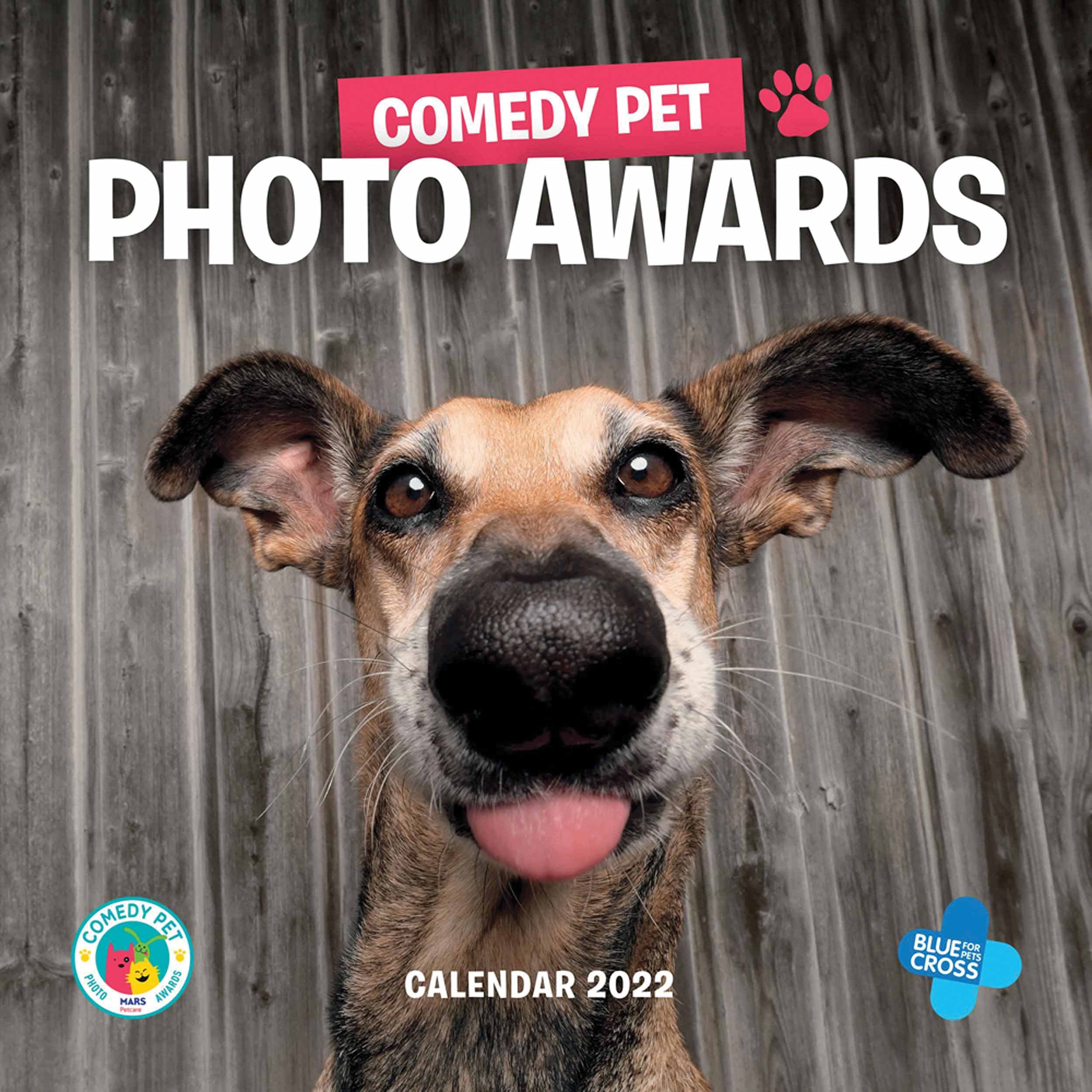 Awrsd Calendar 2022 Comedy Pet Photography Awards Square Wall Calendar 2022: 9781529819687:  Amazon.com: Books