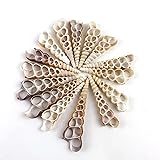 Worlds 15PC Brown Turritella Center Cut Shells for