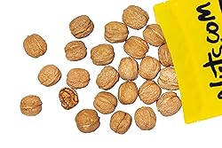 Nuts.com Whole Walnuts in Shell, 2 lbs – Fresh