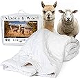 Desert Breeze Distributing Pure and Natural Australian Alpaca & Sheep Wool Comforter – Warm, Soft, Thick, Breathable Duvet Insert with Bamboo Viscose and Cotton Cover, Queen Size, 90x94 inches