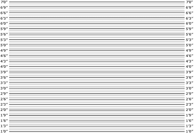 Amazon Mugshot 背景 10 X 7フィート 写真ブース小道具 マグショット 刑務所 警察 ラインアップ 身長チャート 写真背景 テーマ パーティー ビデオ スタジオ デコレーション バックペーパー 背景布 通販