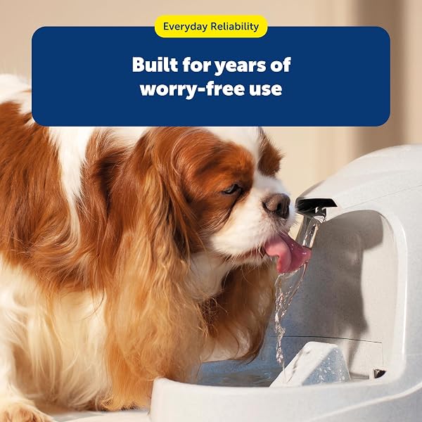 PETSAFE DRINKWELL REPLACEMENT CARBON FILTER, DOG AND CAT WATER FOUNTAIN FILTERS, PACK OF 3