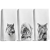 LUKIPOM Funny Squirrel Hand Towels for Bathroom Kitchen Decor Set of 3, Squirrel Lover Lover Gifts, Funny Kids Bathroom Hand Towels,16x24 Inches