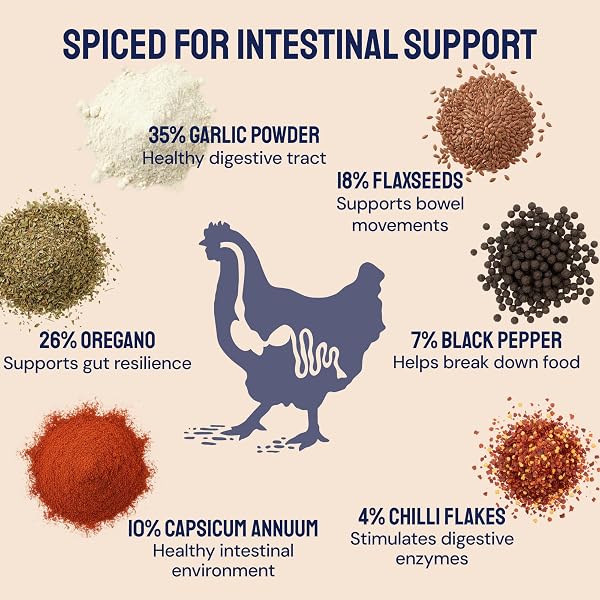 HATORTEMPT 10LB BLACK SOLDIER FLY LARVAE CHICKEN FEED WITH DIGESTIVE MIX